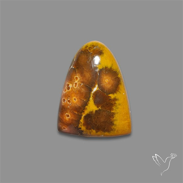 Ocean Jasper Cabochon