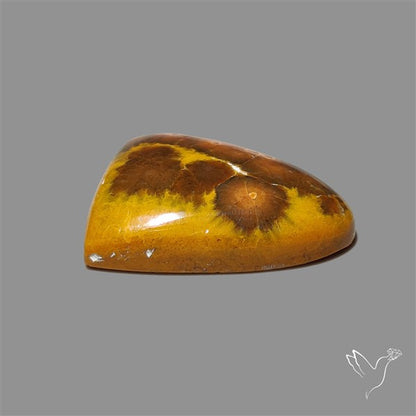 Ocean Jasper Cabochon