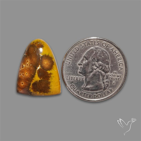 Ocean Jasper Cabochon