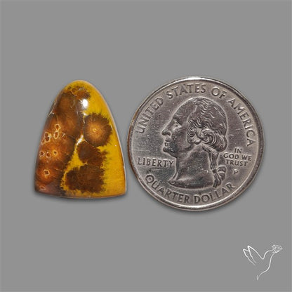Ocean Jasper Cabochon