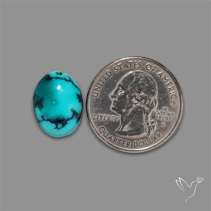 Hubei Turquoise Cabochon
