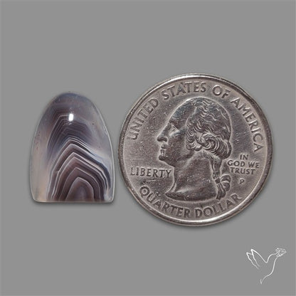 Botswana Agate Cabochon