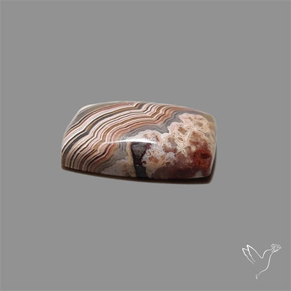 Crazylace Agate Cabochon