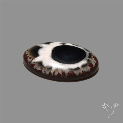 Black Septarian Cabochon