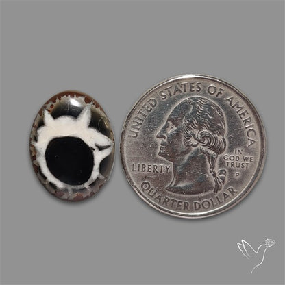 Black Septarian Cabochon