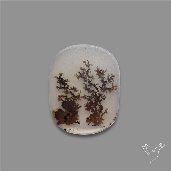 Scenic Agate Cabochon