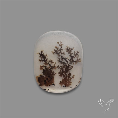 Scenic Agate Cabochon