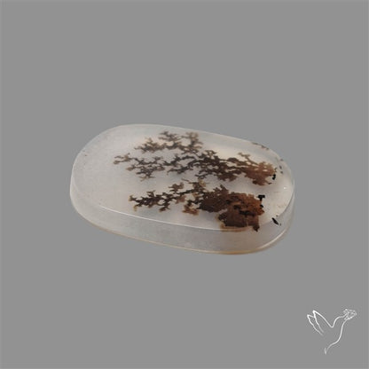 Scenic Agate Cabochon