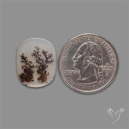 Scenic Agate Cabochon