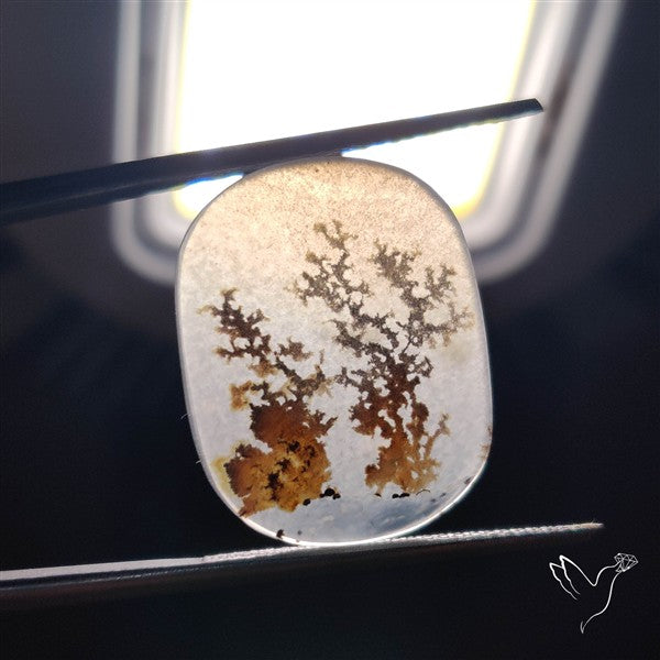 Scenic Agate Cabochon