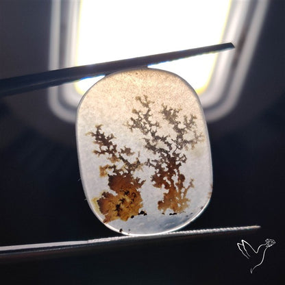 Scenic Agate Cabochon