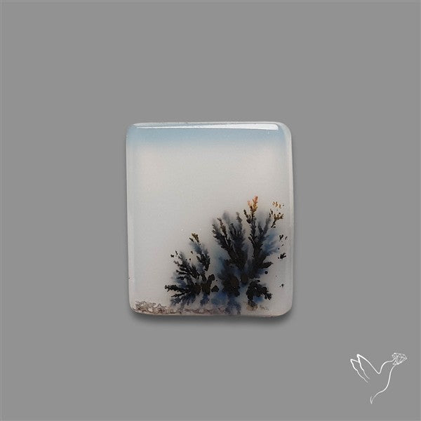 Scenic Agate Cabochon