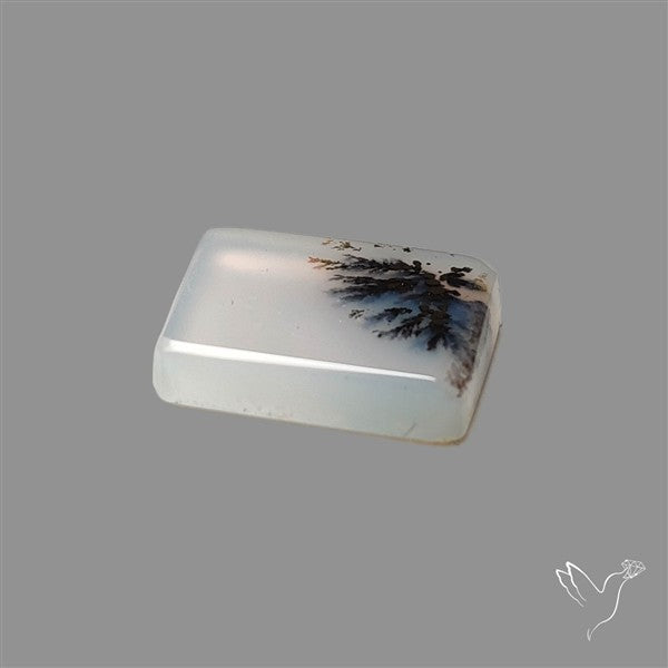 Scenic Agate Cabochon