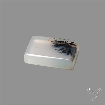 Scenic Agate Cabochon
