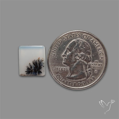 Scenic Agate Cabochon