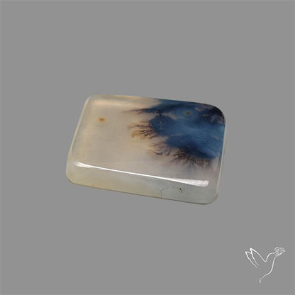 Scenic Agate Cabochon