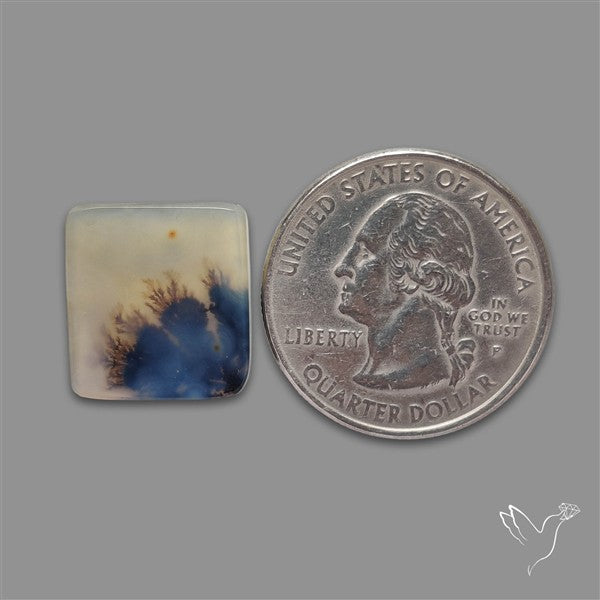 Scenic Agate Cabochon