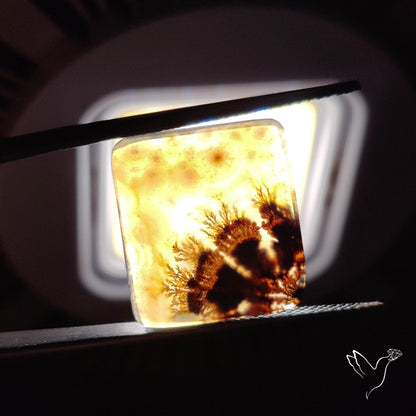 Scenic Agate Cabochon