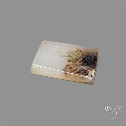 Scenic Agate Cabochon