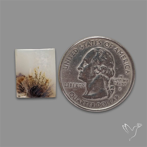 Scenic Agate Cabochon