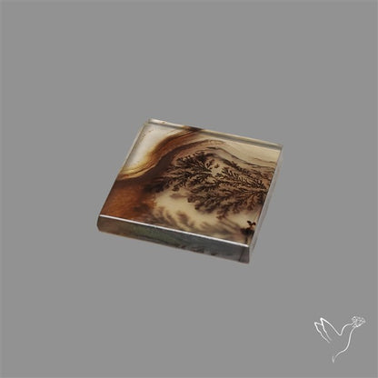 Scenic Agate Cabochon