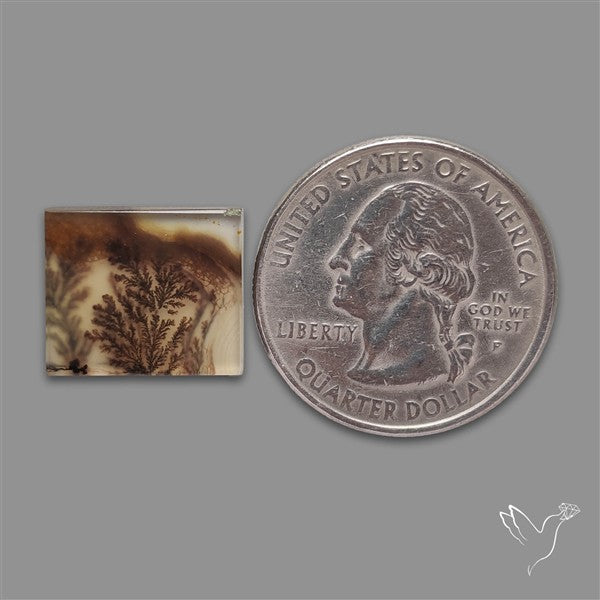 Scenic Agate Cabochon