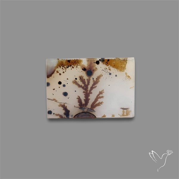 Scenic Agate Cabochon