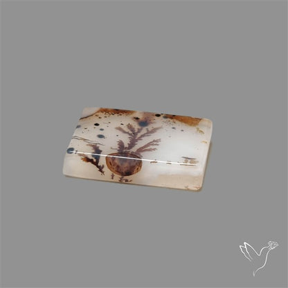 Scenic Agate Cabochon