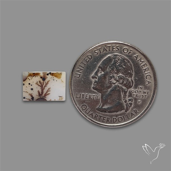 Scenic Agate Cabochon