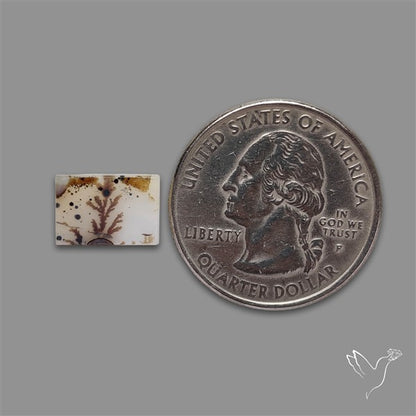 Scenic Agate Cabochon
