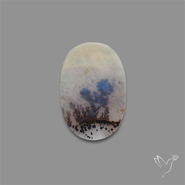 Scenic Agate Cabochon