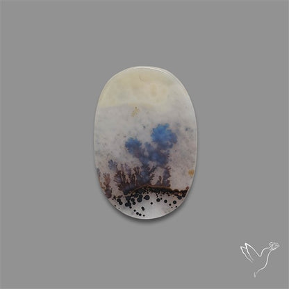 Scenic Agate Cabochon