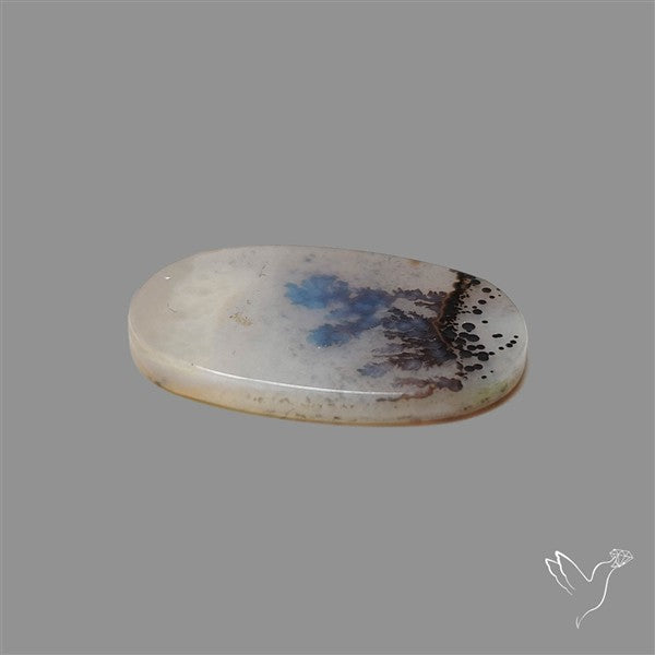 Scenic Agate Cabochon