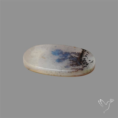 Scenic Agate Cabochon