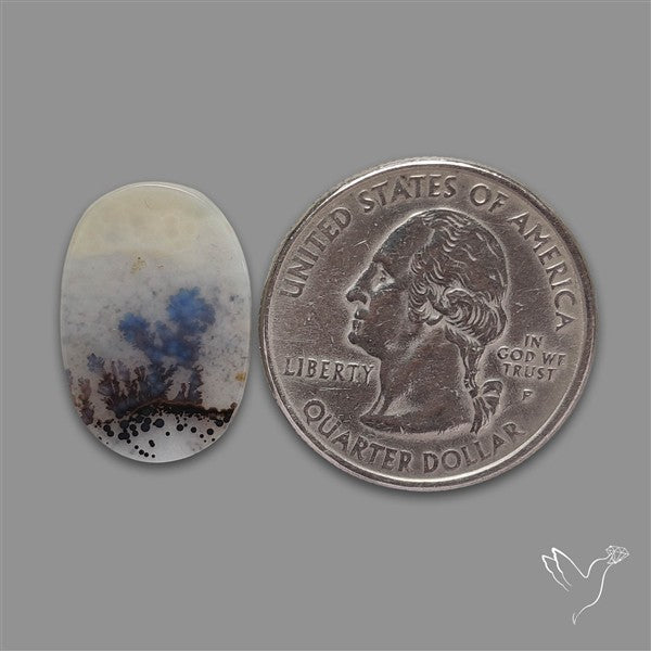 Scenic Agate Cabochon