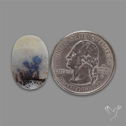 Scenic Agate Cabochon