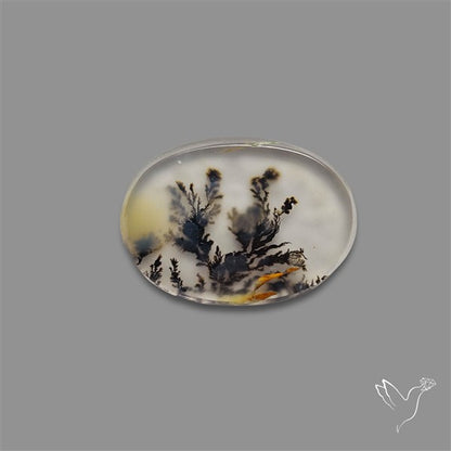 Scenic Agate Cabochon