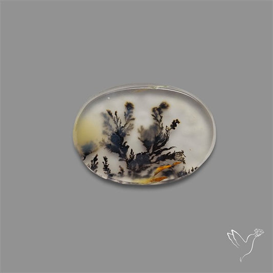Scenic Agate Cabochon