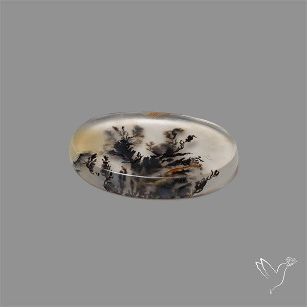 Scenic Agate Cabochon