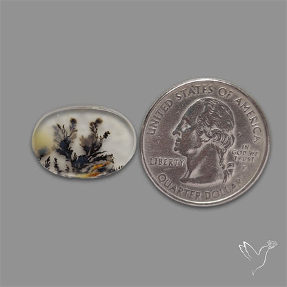 Scenic Agate Cabochon