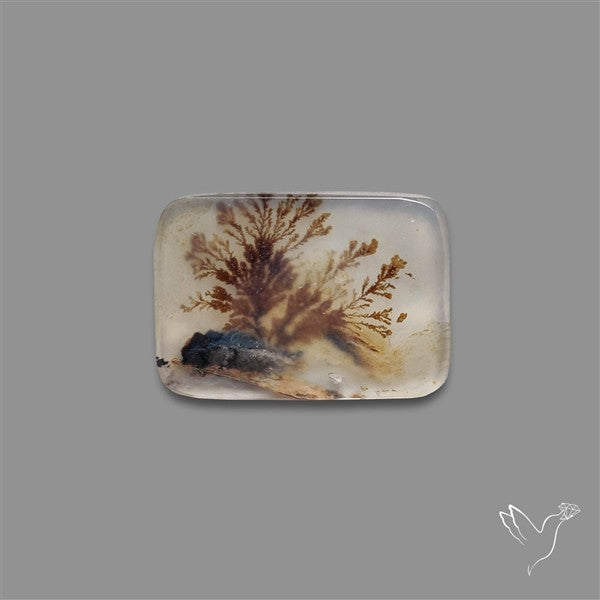 Scenic Agate Cabochon