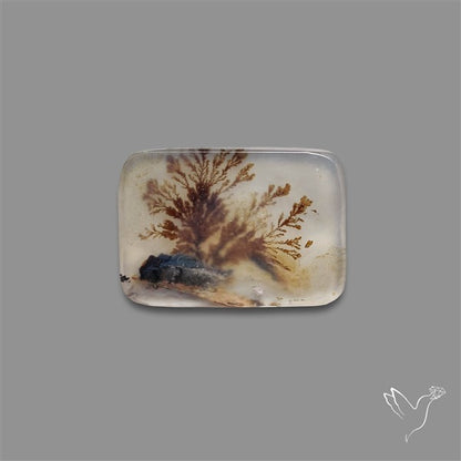 Scenic Agate Cabochon