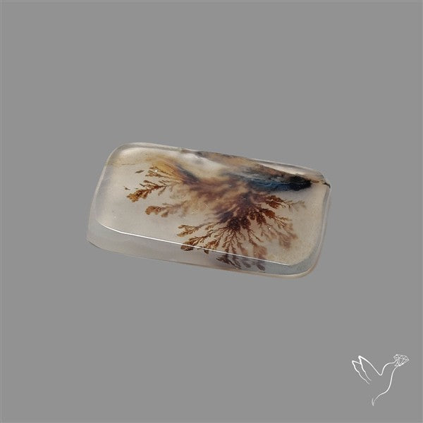 Scenic Agate Cabochon
