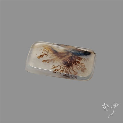 Scenic Agate Cabochon