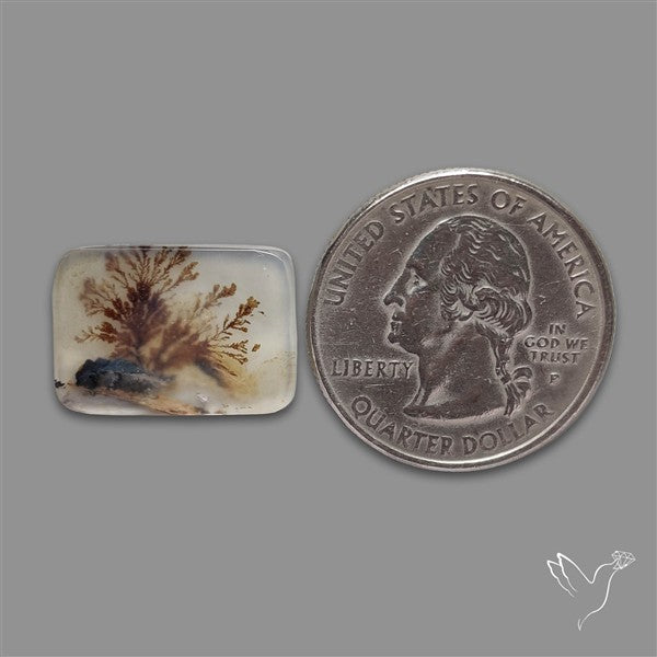 Scenic Agate Cabochon
