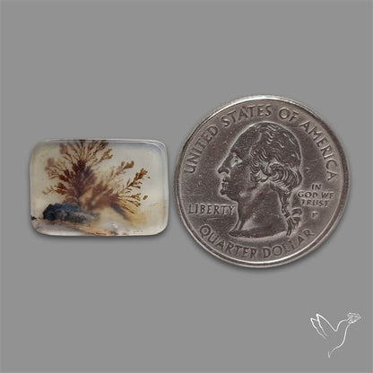 Scenic Agate Cabochon