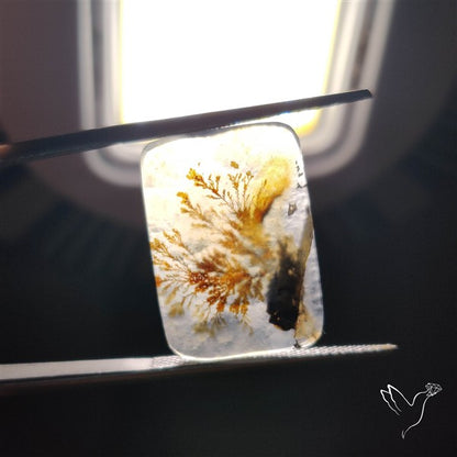 Scenic Agate Cabochon