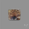 Scenic Agate Cabochon