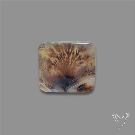 Scenic Agate Cabochon