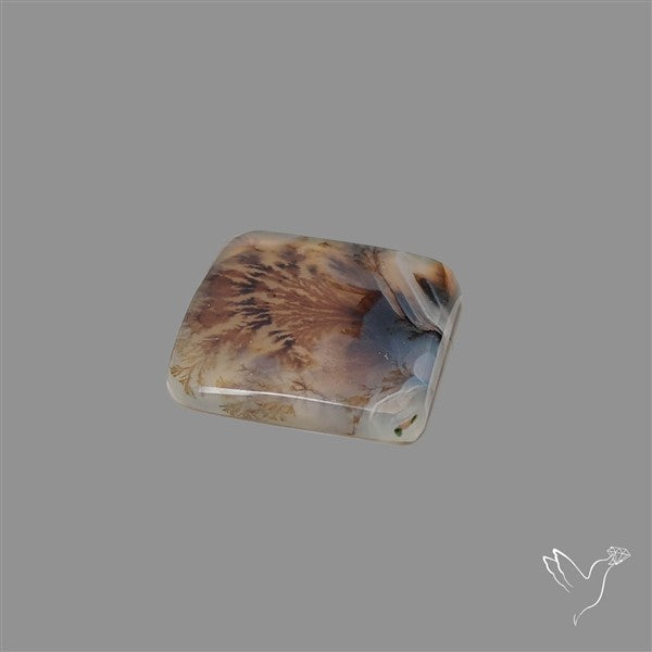 Scenic Agate Cabochon